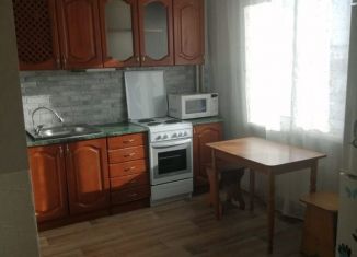 Сдача в аренду 1-ком. квартиры, 36 м2, Алтайский край, Сиреневая улица, 22