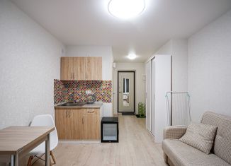 Аренда квартиры студии, 15 м2, Москва, Окская улица, 28к3