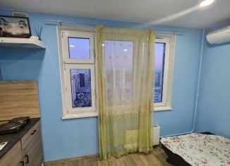 Сдается в аренду квартира студия, 15 м2, Московский, улица Москвитина, 5к2, ЖК Первый Московский