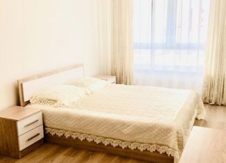 Сдается квартира студия, 50 м2, Москва, Лобненская улица, 13к2, метро Лианозово