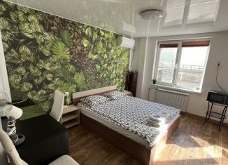 Сдаю в аренду квартиру студию, 20 м2, Республика Башкортостан, Комсомольская улица, 28/1