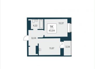 Продам 1-комнатную квартиру, 40.8 м2, Новосибирск, метро Площадь Ленина