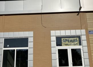 Сдаю в аренду помещение свободного назначения, 88 м2, село Новая Усмань, Троицкая улица, 2Б