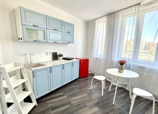 Продам квартиру студию, 27 м2, Екатеринбург, улица Академика Парина, 33