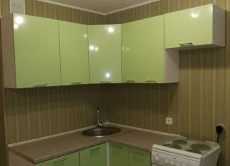 Сдаю в аренду квартиру студию, 30 м2, Уфа, улица Машинистов, 8