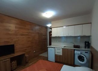 Продам квартиру студию, 22.4 м2, Санкт-Петербург, улица Чайковского, 36