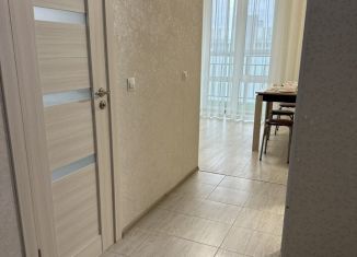 Сдаю 1-комнатную квартиру, 34 м2, Казань, улица Фикрята Табеева