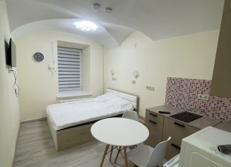 Сдаю в аренду квартиру студию, 18 м2, Санкт-Петербург, переулок Ульяны Громовой, 6, метро Маяковская