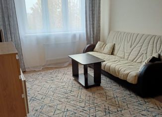 2-ком. квартира в аренду, 45 м2, Ногинск, Санаторная улица, 16