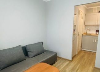 Сдаю в аренду квартиру студию, 18 м2, Татарстан, улица Короленко, 52А