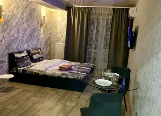 Сдам квартиру студию, 30 м2, Татарстан, Московский проспект, 80Б