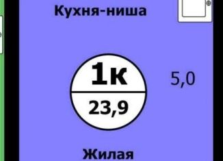 Продается квартира студия, 23.9 м2, Красноярский край, улица Лесников, 51