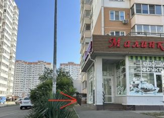 Помещение свободного назначения на продажу, 20 м2, Краснодар, проспект имени писателя Знаменского, 31к1