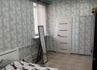 Сдача в аренду двухкомнатной квартиры, 60 м2, Новосибирск, улица Мира