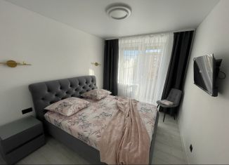 Сдам в аренду 2-ком. квартиру, 50 м2, Псков, Рижский проспект, 49