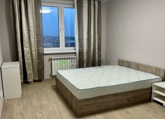 Аренда 1-комнатной квартиры, 40 м2, Самара, Южное шоссе, 7