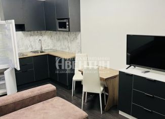 Сдается квартира студия, 25 м2, Санкт-Петербург, Верхне-Каменская улица, 11к1, Приморский район