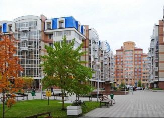 Аренда однокомнатной квартиры, 50 м2, Красноярский край, улица Молокова, 1к1