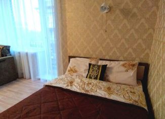 Аренда 1-ком. квартиры, 34 м2, Пушкин, Школьная улица, 29