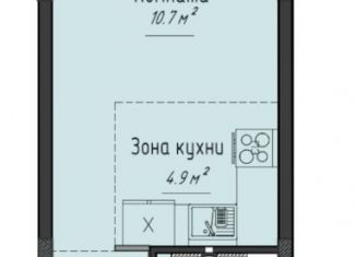 Продается квартира студия, 25 м2, село Первомайский