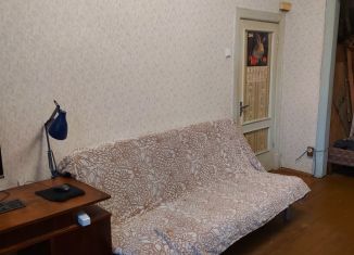 Однокомнатная квартира в аренду, 50 м2, Дзержинский, улица Академика Жукова, 38