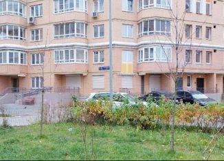 Квартира на продажу студия, 17 м2, Москва, 6-я Радиальная улица, 3к7, ЖК Царицыно