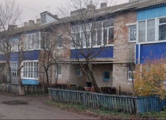 Продается однокомнатная квартира, 28.3 м2, село Бакалы, улица Красных Партизан