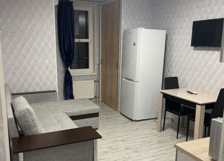 Сдача в аренду квартиры студии, 25 м2, Московский, Солнечная улица, 3А