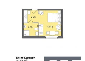 Продается квартира студия, 22.4 м2, Санкт-Петербург, Московский район, Витебский проспект, 99к1