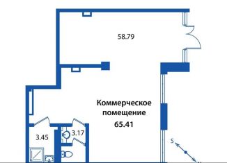 Продам помещение свободного назначения, 65 м2, Санкт-Петербург, проспект Авиаконструкторов, 61, метро Комендантский проспект