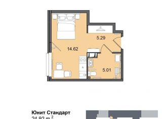 Квартира на продажу студия, 24.9 м2, Санкт-Петербург, метро Купчино, Витебский проспект, 99к1