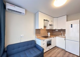 Сдается 1-ком. квартира, 32 м2, деревня Глухово, Романовская улица, 17