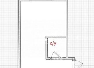 Продаю квартиру студию, 20 м2, Москва, Косинская улица, 24к2, метро Юго-Восточная