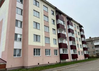 Продается двухкомнатная квартира, 44.3 м2, село Амзя, улица Кудрявцева, 13А