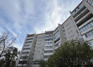 Продажа 2-комнатной квартиры, 49.2 м2, Дзержинск, Молодёжная улица, 6