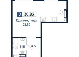 Квартира на продажу студия, 30.8 м2, Ленинградская область