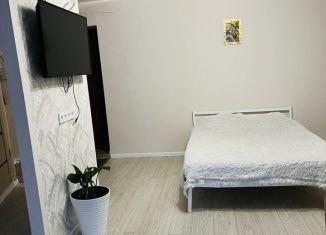 Сдам в аренду 3-комнатную квартиру, 42 м2, Пермь, улица Крупской, 57