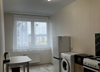 Сдается 1-комнатная квартира, 37 м2, Красноярск, улица Петра Подзолкова, 22