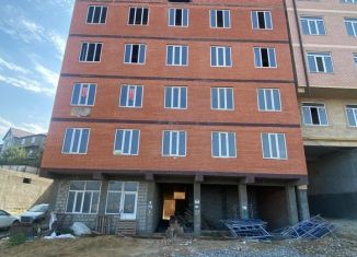 Продажа однокомнатной квартиры, 48 м2, село Агачаул, Еловая улица, 10