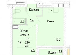 Продажа 1-комнатной квартиры, 30.1 м2, Нижегородская область