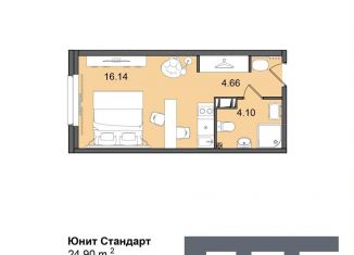 Продается квартира студия, 24.9 м2, Санкт-Петербург, Витебский проспект, 99к1, метро Дунайская