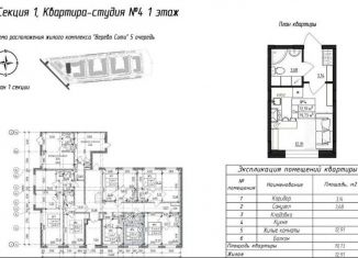 Продажа квартиры студии, 19.7 м2, Ленинградская область