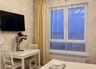 Сдается в аренду квартира студия, 20 м2, Москва, район Кунцево, улица Академика Павлова, 28