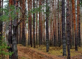 Участок на продажу, 10 сот., Владимирская область, деревня Борок, 68