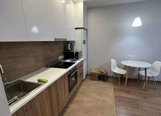 Сдается 1-ком. квартира, 35 м2, Балашиха, улица Романычева, 3