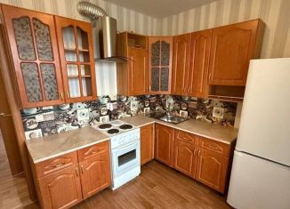 Сдается 1-ком. квартира, 40 м2, Омск, улица Димитрова, 69/1, ЖК Суворовская усадьба