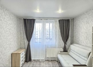 Сдаю квартиру студию, 19.5 м2, Санкт-Петербург, Михайловская улица, 51