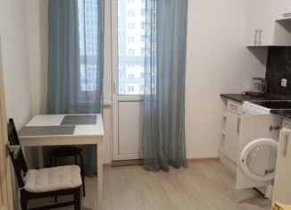 Аренда 1-комнатной квартиры, 35 м2, деревня Анкудиновка, Русская улица, 7