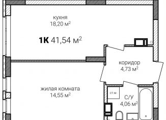 Продам 1-комнатную квартиру, 41.5 м2, Нижний Новгород, Советский район