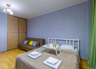 Сдается 1-комнатная квартира, 45 м2, Екатеринбург, улица Фурманова, 103, метро Чкаловская